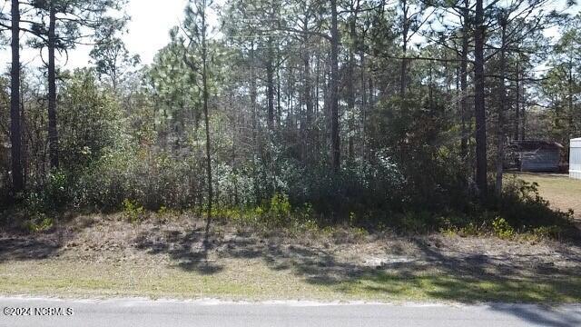 1431 Goldfinch Pl SW, Shallotte NC, 28470 land for sale