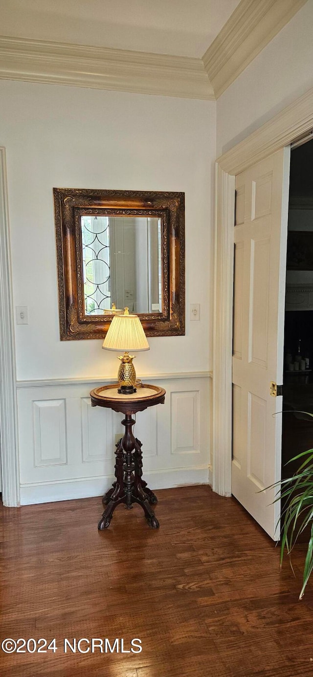 hallway featuring crown molding and dark hardwood / wood-style floors