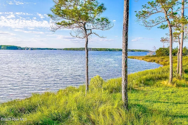 469 Ballast Pt Unit 81, Oriental, NC 28571