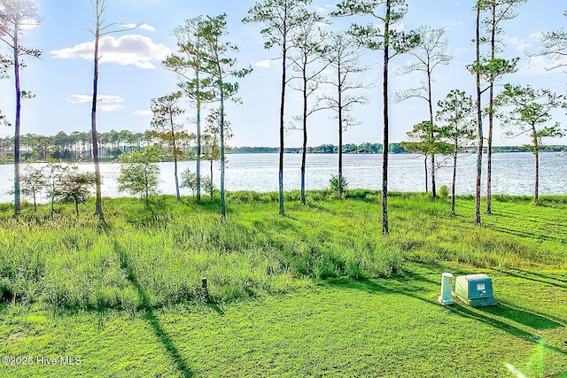 469 Ballast Pt Unit 81, Oriental, NC 28571