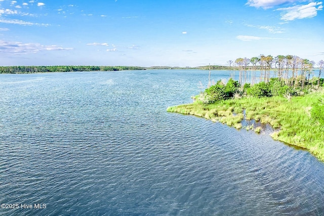 469 Ballast Pt Unit 81, Oriental, NC 28571