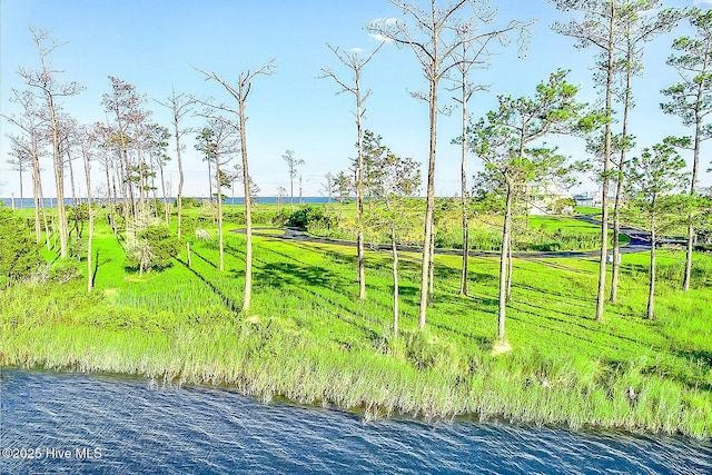 469 Ballast Pt Unit 81, Oriental, NC 28571