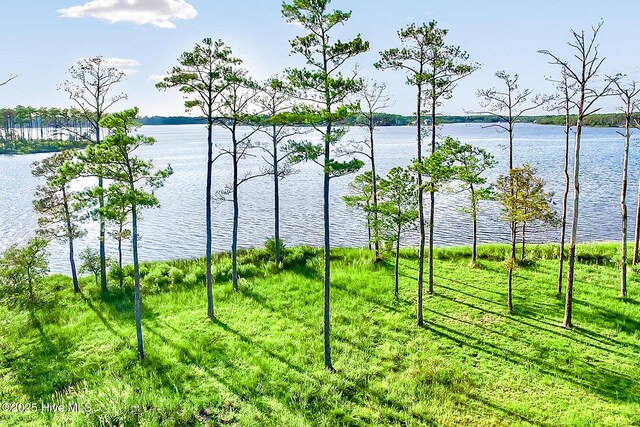 469 Ballast Pt Unit 81, Oriental, NC 28571