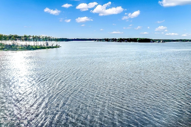 469 Ballast Pt Unit 81, Oriental, NC 28571