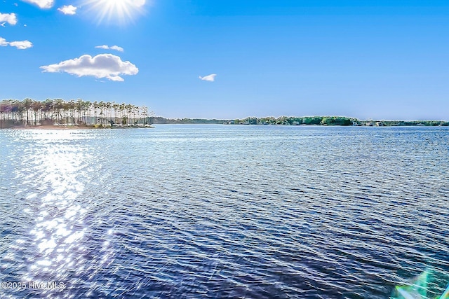 469 Ballast Pt Unit 81, Oriental, NC 28571