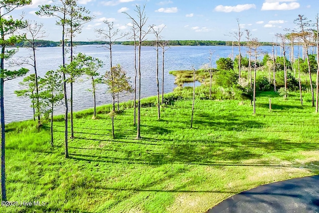 469 Ballast Pt Unit 81, Oriental, NC 28571