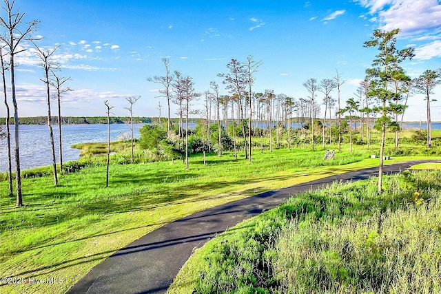 469 Ballast Pt Unit 81, Oriental, NC 28571