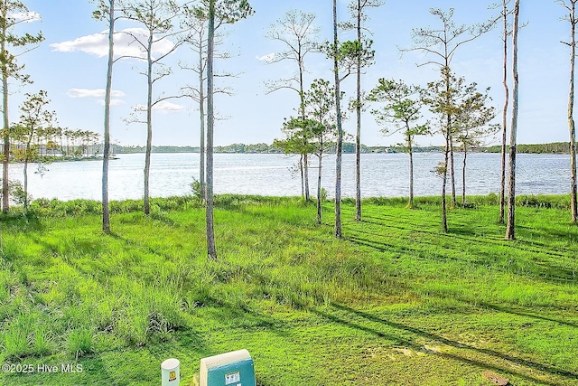 469 Ballast Pt Unit 81, Oriental, NC 28571