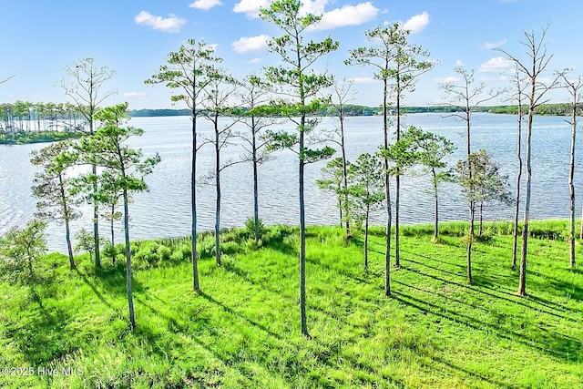 469 Ballast Pt Unit 81, Oriental, NC 28571