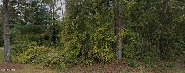 1179 Buck Swamp Rd, Pikeville NC, 27863 land for sale