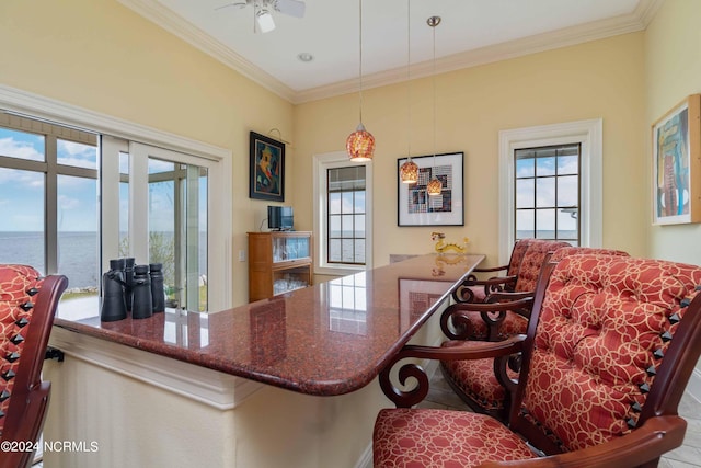 interior space with a water view, a healthy amount of sunlight, and crown molding