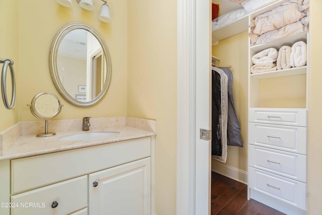 bathroom with large vanity and hardwood / wood-style flooring