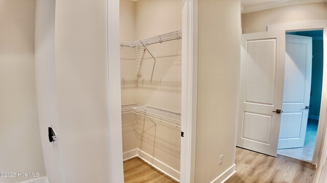 bathroom featuring wood-type flooring