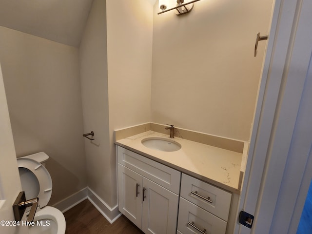 bathroom with hardwood / wood-style floors, vanity, and toilet