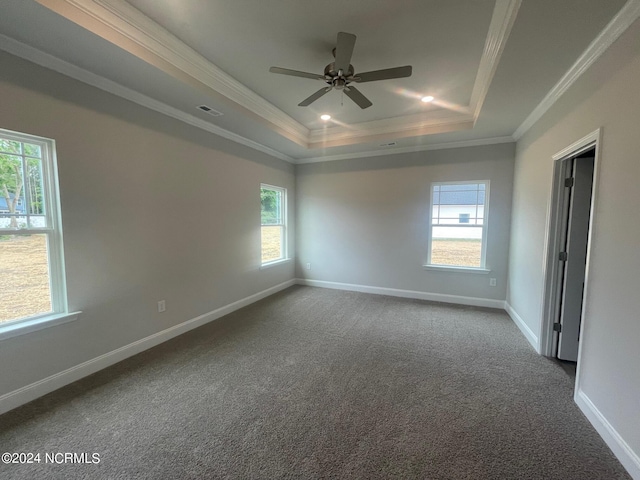 spare room featuring a tray ceiling, plenty of natural light, and ceiling fan