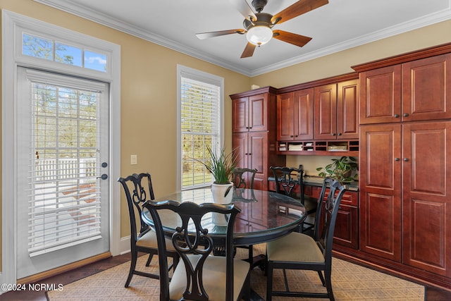 dining room with ceiling fan, ornamental molding, and a wealth of natural light