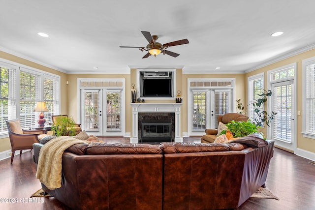 living room featuring french doors, dark hardwood / wood-style floors, and a wealth of natural light