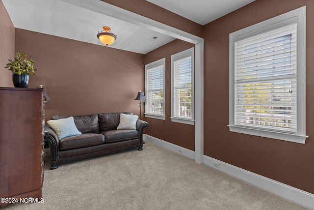 living room featuring light colored carpet