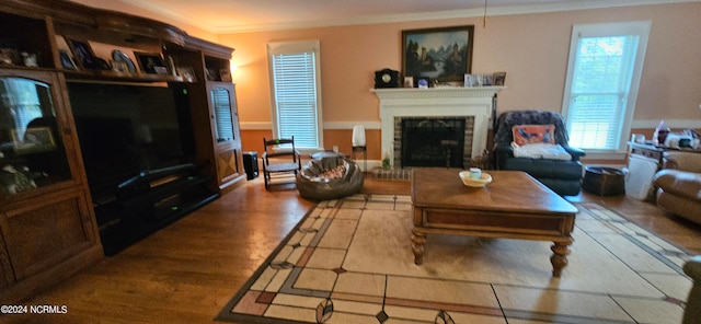 living room with plenty of natural light, crown molding, and light wood-type flooring