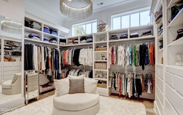 walk in closet featuring light wood-type flooring