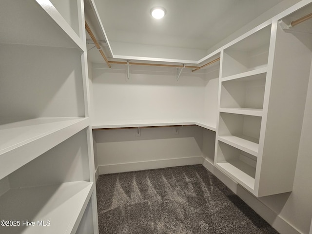 spacious closet with built in study area and dark colored carpet