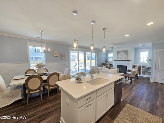 kitchen featuring dark wood finished floors, a fireplace, a sink, wainscoting, and stainless steel dishwasher