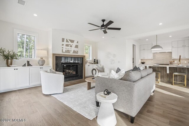 living room featuring light hardwood / wood-style flooring, a fireplace, and a healthy amount of sunlight