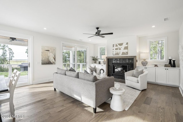 living room with hardwood / wood-style floors, a wealth of natural light, and a premium fireplace