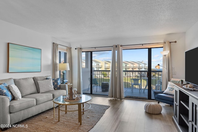 living room featuring a healthy amount of sunlight, a textured ceiling, and hardwood / wood-style flooring