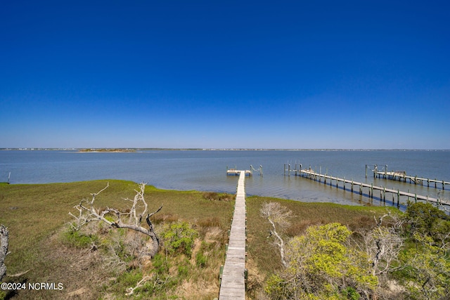 dock area with a water view