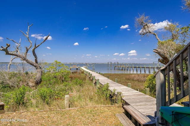 dock area with a water view