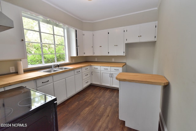 kitchen featuring range, dark wood-type flooring, white cabinetry, ornamental molding, and sink