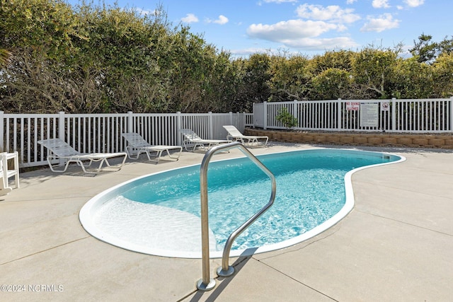 view of pool featuring a patio area