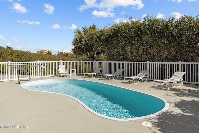 view of swimming pool with a patio