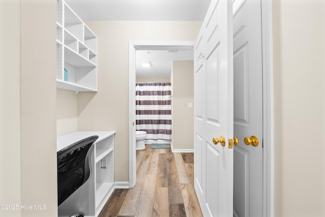 interior space featuring wood-type flooring