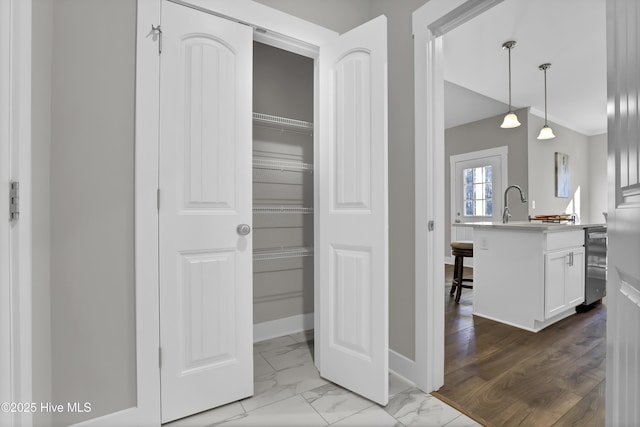 closet with sink