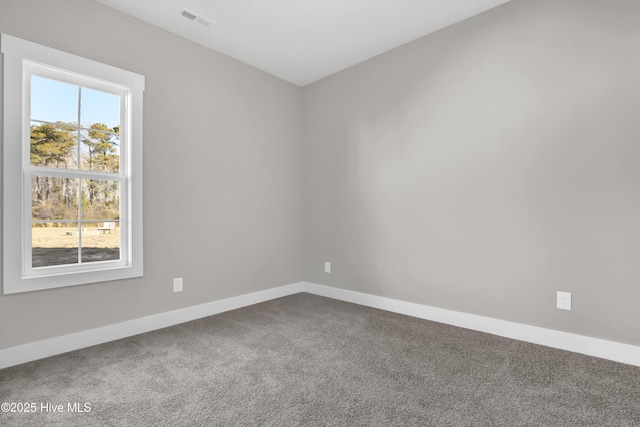 unfurnished room featuring a healthy amount of sunlight and carpet