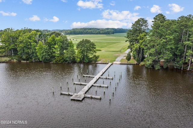 water view featuring a boat dock