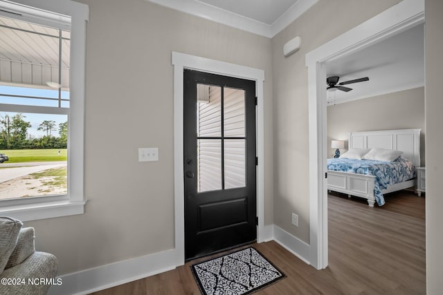 entryway with ceiling fan, dark hardwood / wood-style flooring, a healthy amount of sunlight, and ornamental molding