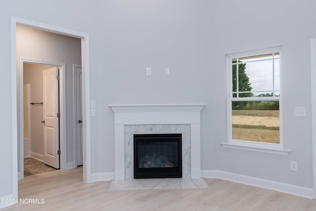 room details with wood-type flooring and a premium fireplace