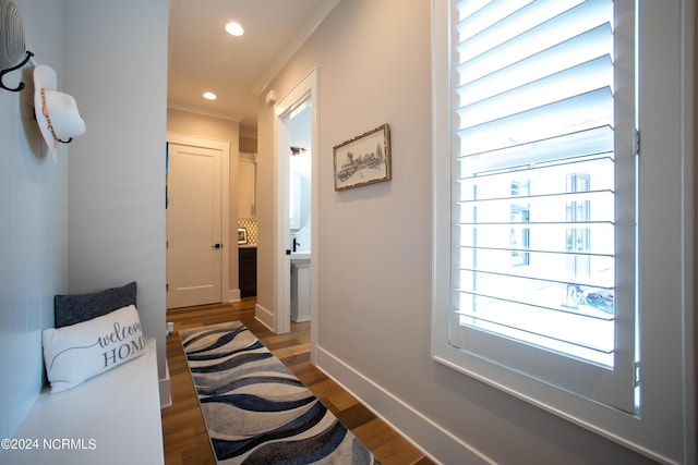 corridor featuring dark hardwood / wood-style floors