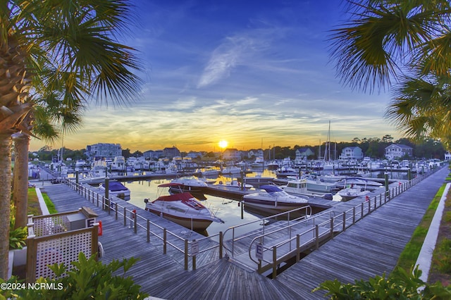 dock area with a water view