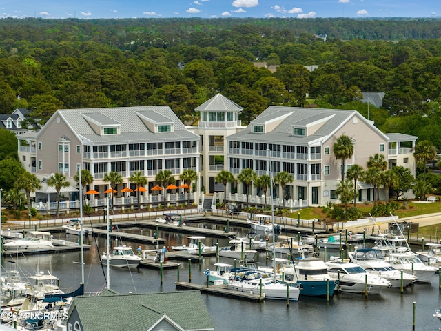 dock area with a water view