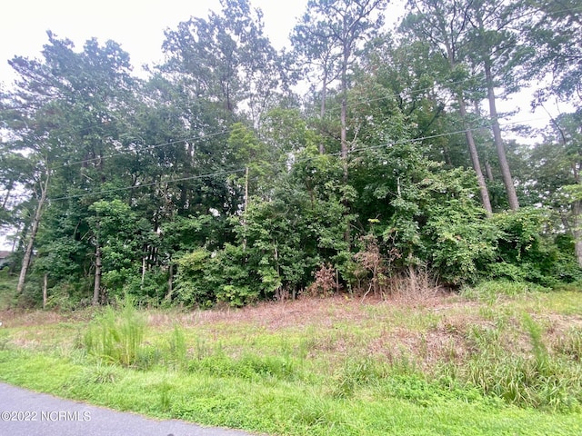 54 Oakview Rd, Williamston NC, 27892 land for sale