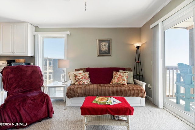 carpeted living room with crown molding and a wealth of natural light