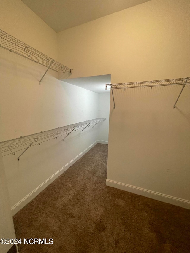 spacious closet with dark carpet