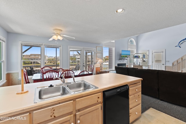 kitchen featuring a healthy amount of sunlight, sink, black dishwasher, and carpet flooring