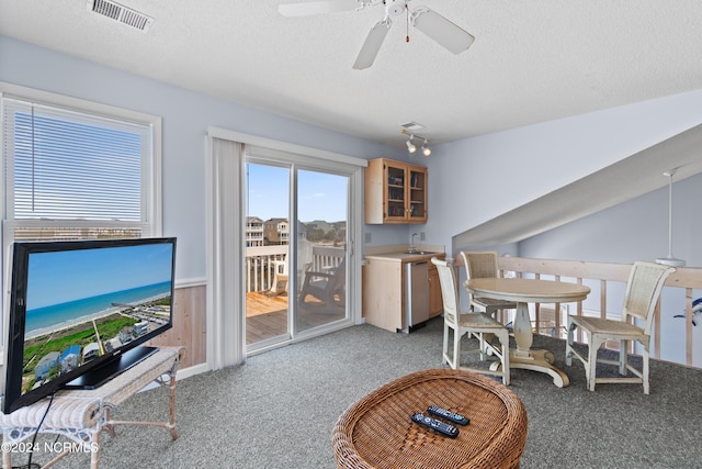 interior space featuring light colored carpet, ceiling fan, and a textured ceiling