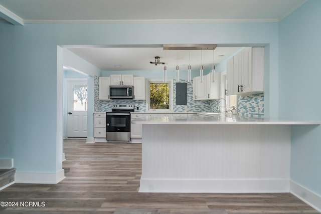 kitchen with wood-type flooring, a wealth of natural light, and stainless steel appliances