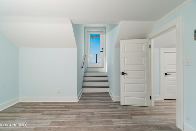 bonus room with wood-type flooring